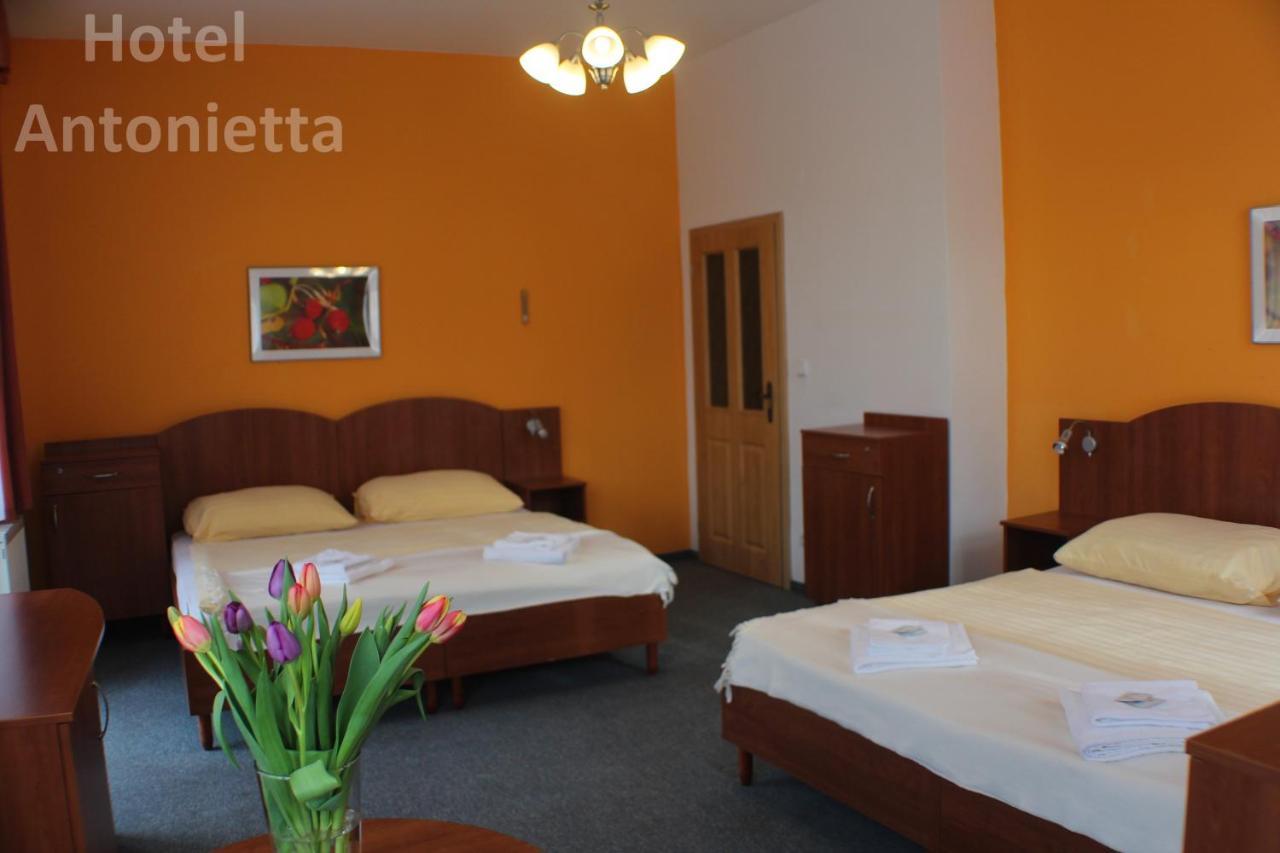 Hotel Antonietta Teplice Exterior foto